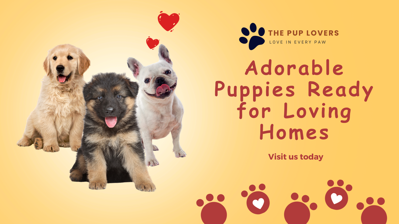 Adorable Puppies Ready for Loving Homes - The Pup Lovers